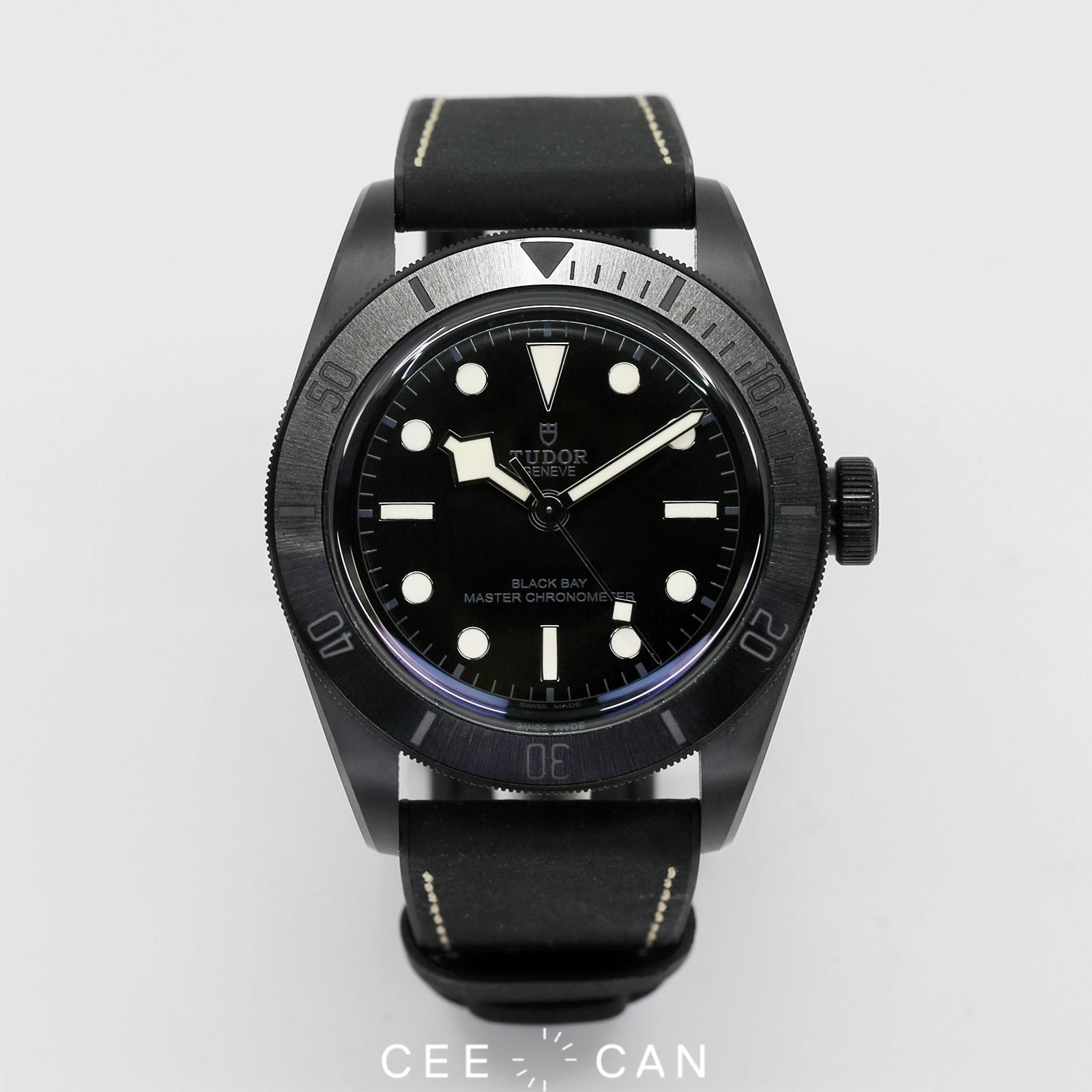 TUDOR 79210CNUBlack Bay Ceramic