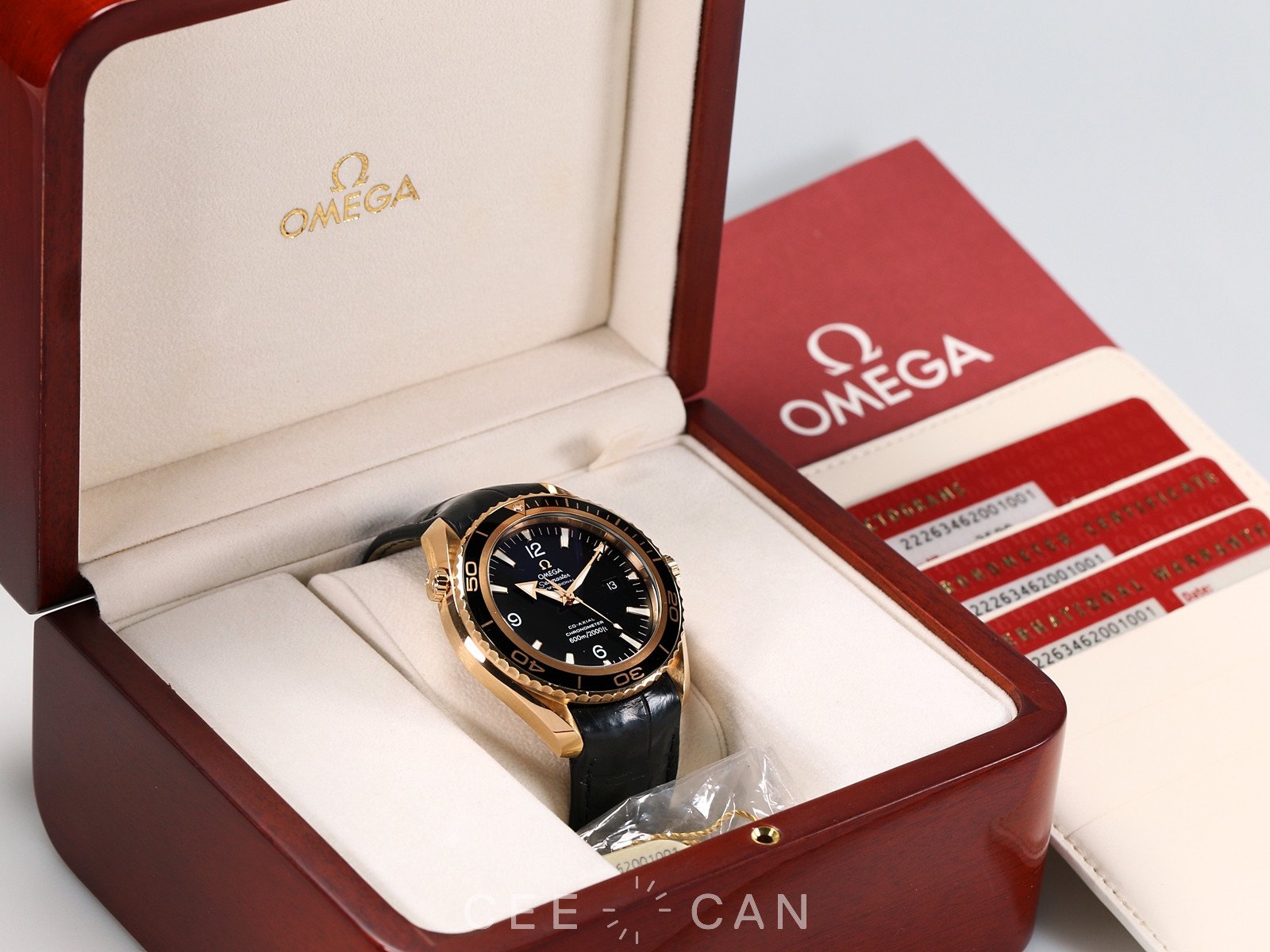 Seamaster Planet Ocean 600M Red Gold 22263462001001_6